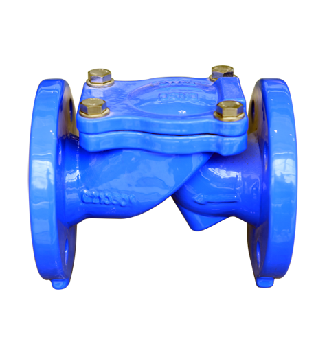 flexible check valve-100